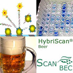 HybriScan-Bier
