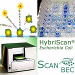 HybriScan-Water