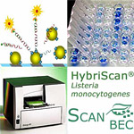 HybriScan-Food