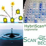 HybriScan®-Legionella